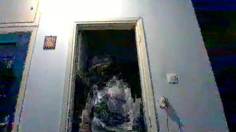 mppempis81 online show from 02-02-26, 08:40