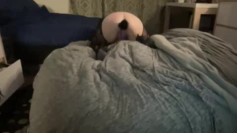 The Honey Pot  Pooh Bear online show from 02-17-26, 09:28