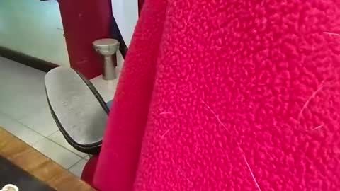 mr_atwood online show from 04-20-26, 04:32