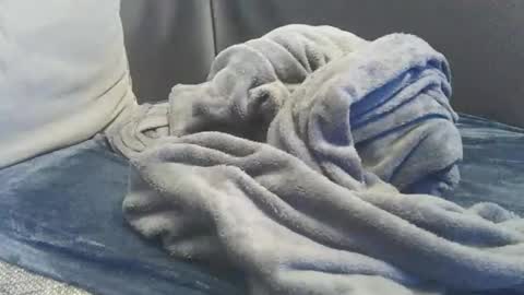 Snapshot of mranal93 chatting on 02-15-25, 05:28 mranal93 online show from 02-15-25, 05:28