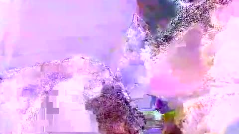 Mr boom online show from 06-05-26, 10:21
