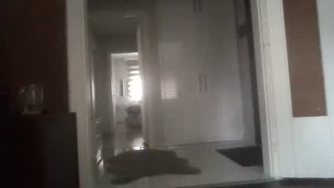 Nikola online show from 03-13-26, 06:42