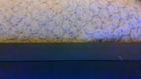 mrking8inch online show from 06-26-26, 11:09