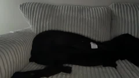 Snapshot of mrryanvoss chatting on 12-30-24, 10:01 Mr Ryan Voss online show from 12-30-24, 10:01