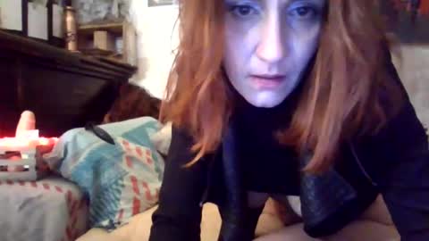 warningdreams online show from 12-19-24, 03:29