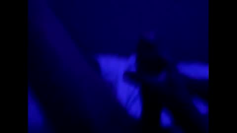 Snapshot of mt220 chatting on 12-16-24, 09:57 mt220 online show from 12-16-24, 09:57