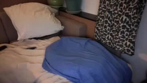 French Brown Cookies online show from 04-18-26, 07:40