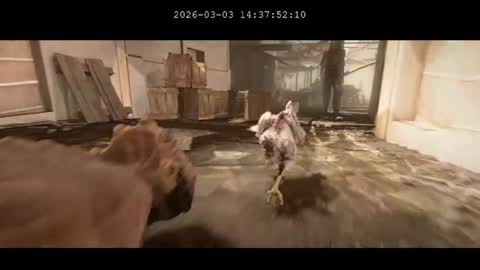 multitest101 online show from 03-03-26, 10:37