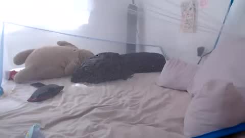 Snapshot of munchi_ chatting on 06-28-26, 02:23 online show from 06-28-26, 02:23