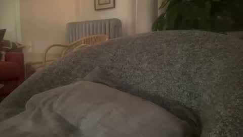 Snapshot of muslgut chatting on 02-16-25, 03:04 muslgut online show from 02-16-25, 03:04