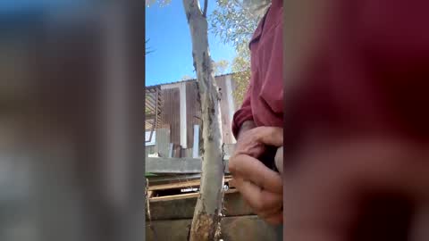 Snapshot of my_cockeye chatting on 03-04-26, 05:13 my_cockeye online show from 03-04-26, 05:13