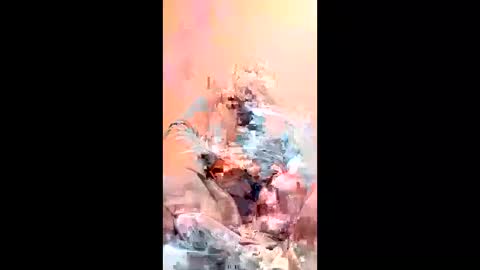 mza274 online show from 01-17-26, 02:38