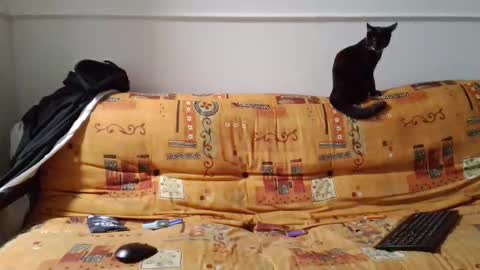 a Ordinary Boy online show from 02-15-26, 02:19