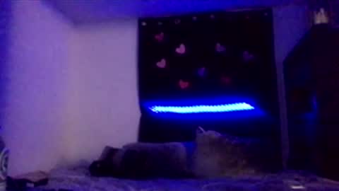 Missbellaaaxox online show from 02-15-26, 08:13