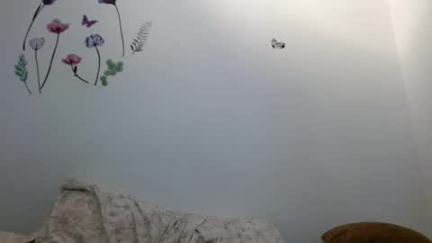 nahomy_gree online show from 02-06-26, 06:40