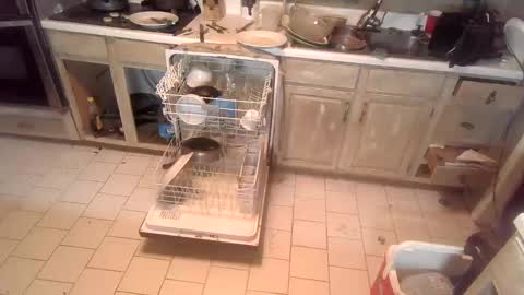 nakednate1780 online show from 12-03-24, 12:46