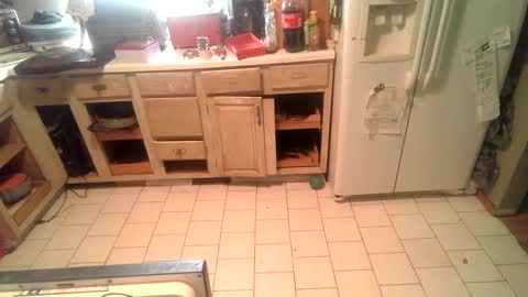 nakednate1780 online show from 12-25-24, 02:23