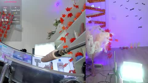 INSTAGRAM     bekkercat  online show from 11-02-25, 11:12