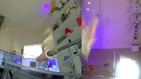 INSTAGRAM     bekkercat  online show from 02-03-26, 09:03