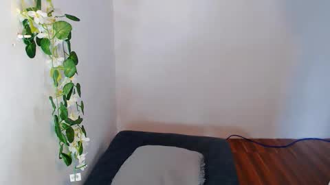 nashdiam online show from 11-30-25, 07:23