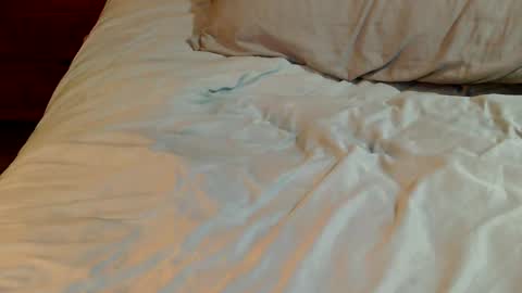 Snapshot of naughtyfucker4u269 chatting on 12-26-24, 03:10 INDY online show from 12-26-24, 03:10