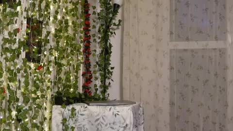 Mya Alexya online show from 05-17-26, 06:48