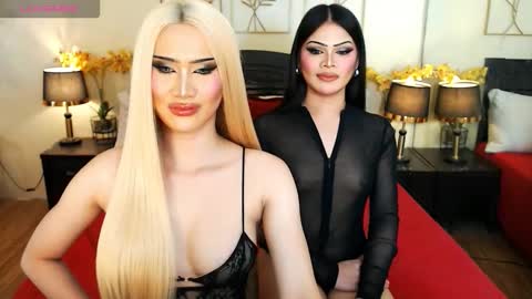 F R A N Z I A online show from 03-21-26, 08:41