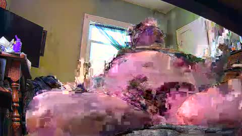 ND Cowpoke online show from 02-08-25, 09:46