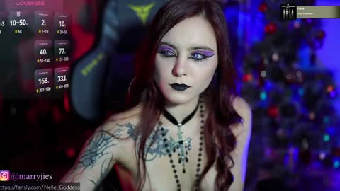 Snapshot of nelle_ chatting on 12-29-24, 10:23 online show from 12-29-24, 10:23