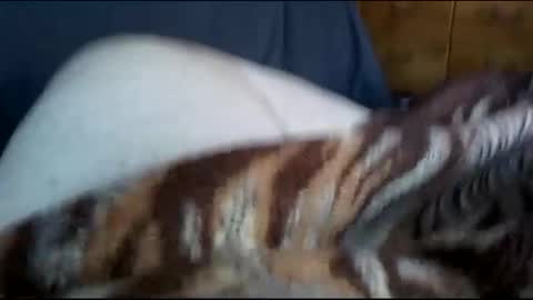 Matt online show from 12-01-24, 07:36