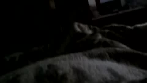 Matt online show from 12-11-24, 07:42