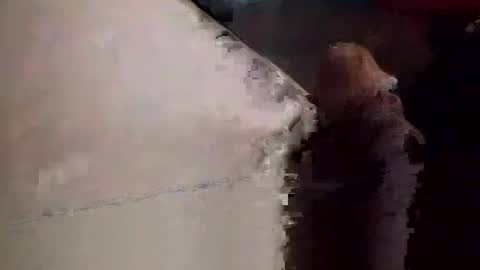 Matt online show from 11-23-25, 09:03