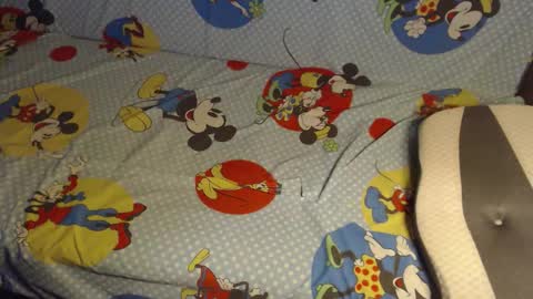 Lilly  online show from 10-25-25, 03:03