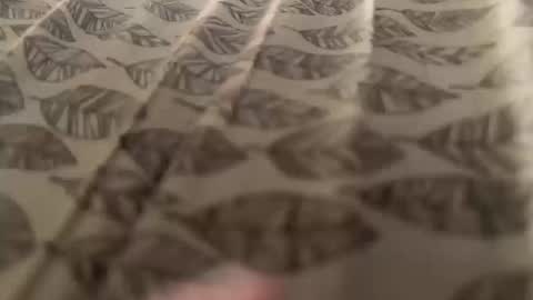 Snapshot of newby101 chatting on 10-12-25, 08:57 Meow Meow online show from 10-12-25, 08:57