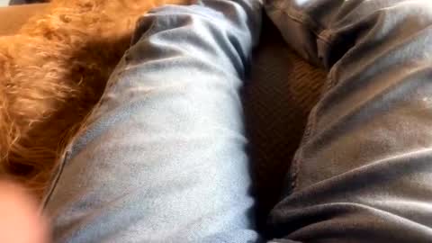 Snapshot of newjerseyhorny chatting on 12-15-24, 07:10 newjerseyhorny online show from 12-15-24, 07:10