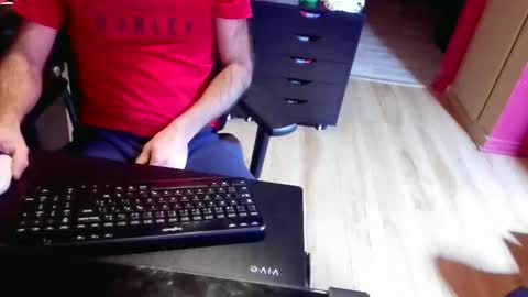 nicecck24 online show from 02-02-26, 04:33