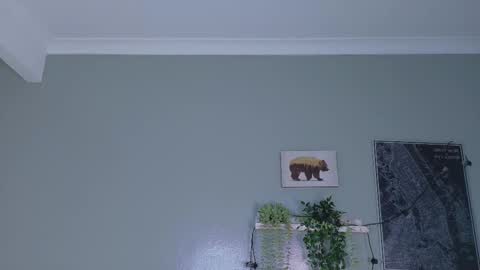 NICKI FOX  online show from 01-15-26, 10:35