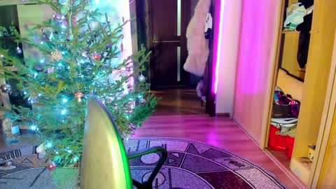 Nicky Weekends online show from 01-14-25, 12:00