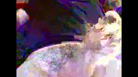 Snapshot of nickyfruit2 chatting on 10-30-25, 09:22 Nickyfruit online show from 10-30-25, 09:22