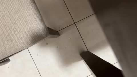 Carlos Nico online show from 03-02-26, 09:05