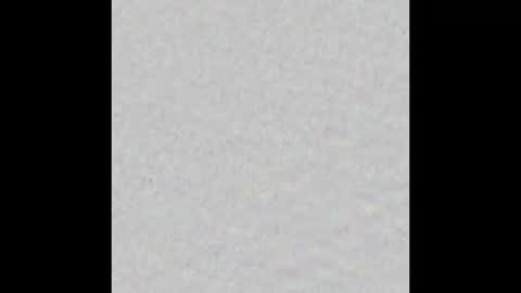 Nicolas Caged online show from 03-30-26, 06:47