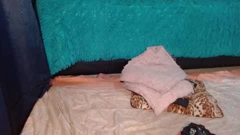 Snapshot of nicole_smithhh chatting on 12-03-25, 04:27 Anna Nicole online show from 12-03-25, 04:27