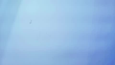 Nicolle online show from 01-19-26, 11:25