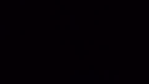 nicoleandbrian online show from 12-17-24, 09:17