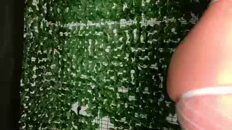 Snapshot of nicoleirisxxx chatting on 07-03-26, 05:36 nicoleirisxxx online show from 07-03-26, 05:36