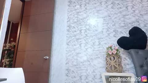 Snapshot of nicolle4 chatting on 06-11-26, 02:22 nicolle4 online show from 06-11-26, 02:22