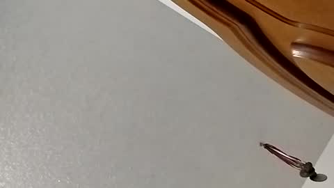 nightnightlol online show from 02-11-25, 03:08