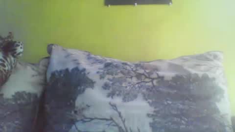 Snapshot of niki303424 chatting on 03-02-26, 08:32 niki303424 online show from 03-02-26, 08:32