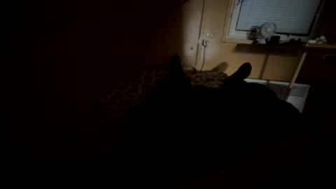 Snapshot of nikolay3032 chatting on 09-20-25, 08:37 Nikk online show from 09-20-25, 08:37