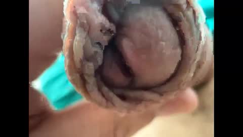 Nikolay online show from 04-22-26, 09:22